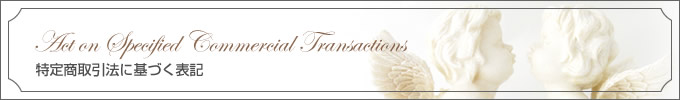 Act on Specified Commercial Transactions 特定商取引法に基づく表記