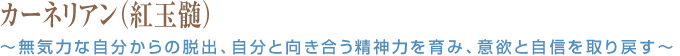 カーネリアン（紅玉髄）～無気力な自分からの脱出、自分と向き合う精神力を育み、意欲と自信を取り戻す～