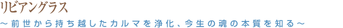 リビアングラス ～前世から持ち越したカルマを浄化、今生の魂の本質を知る～