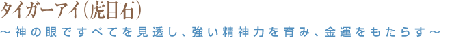 タイガーアイ（虎目石）～神の眼ですべてを見透し、強い精神力を育み、金運をもたらす～
